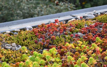 the cost of Cwm Gwyn green roof installation