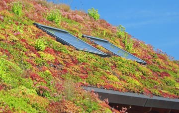 Cwm Gwyn living roof systems